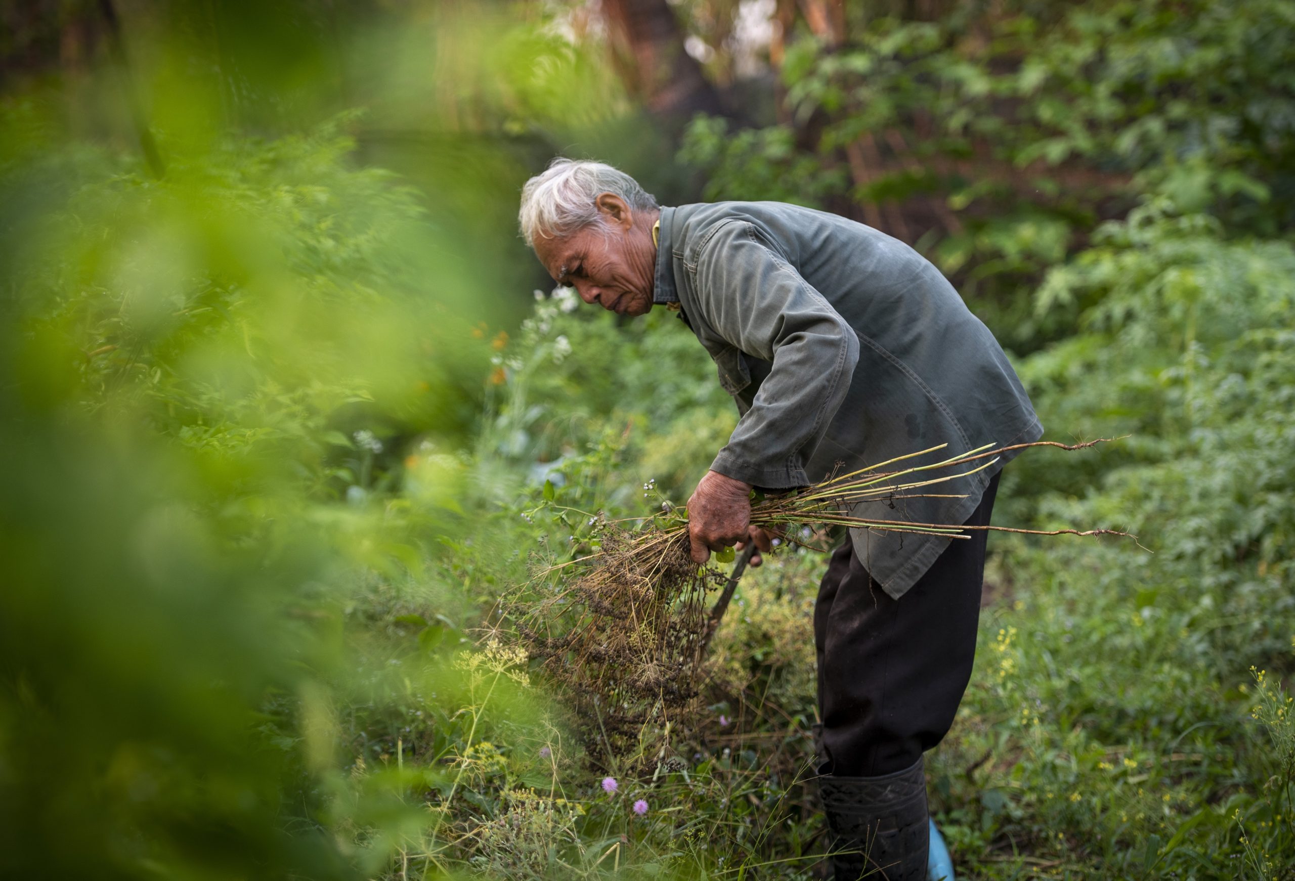 Ce taxe plătești ca agricultor