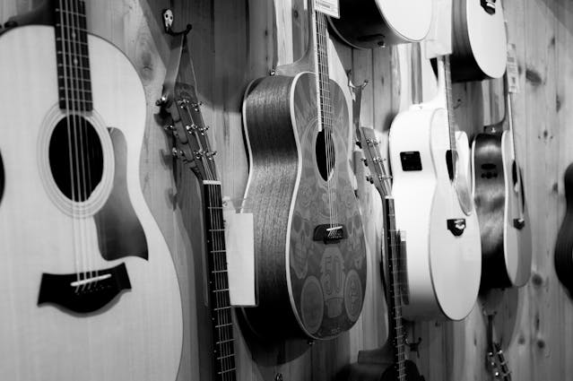 instrumentelor muzicale cu coarde