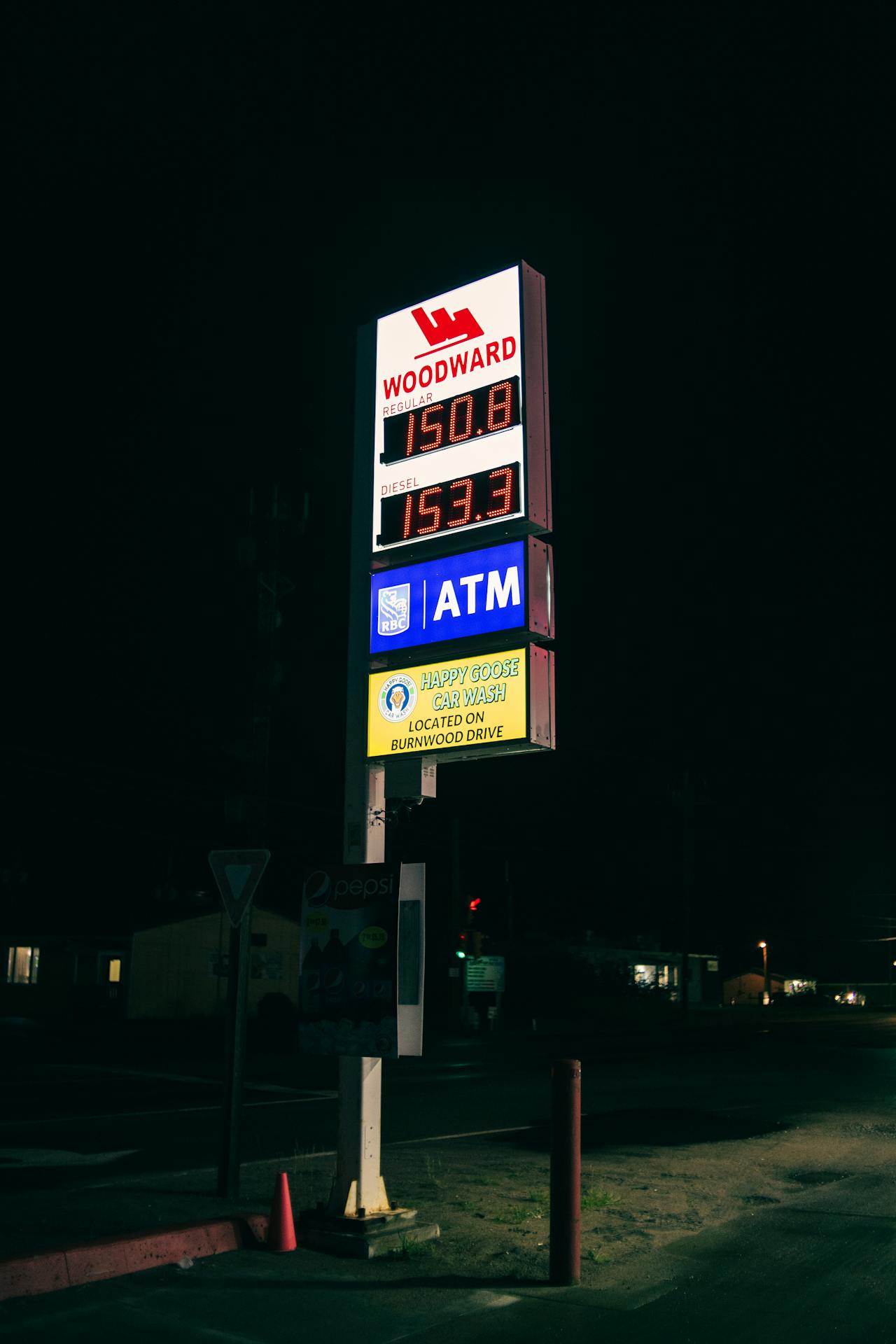 Alternative la petrol: Viitorul energiei durabile