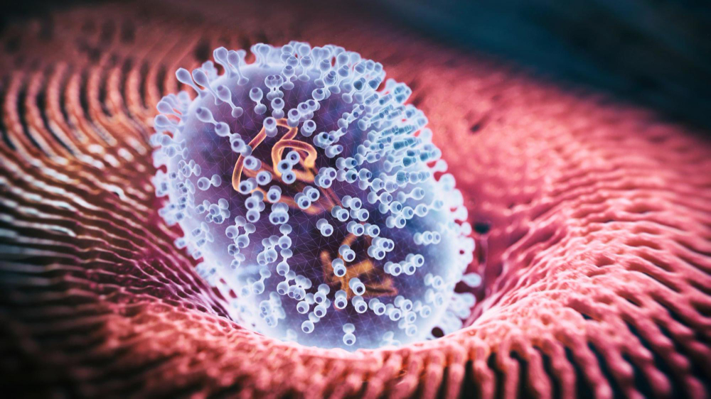 criptosporidium