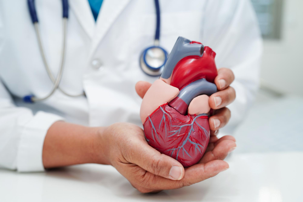 cardiolog