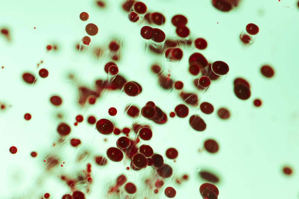 Haemophilus ducreyi