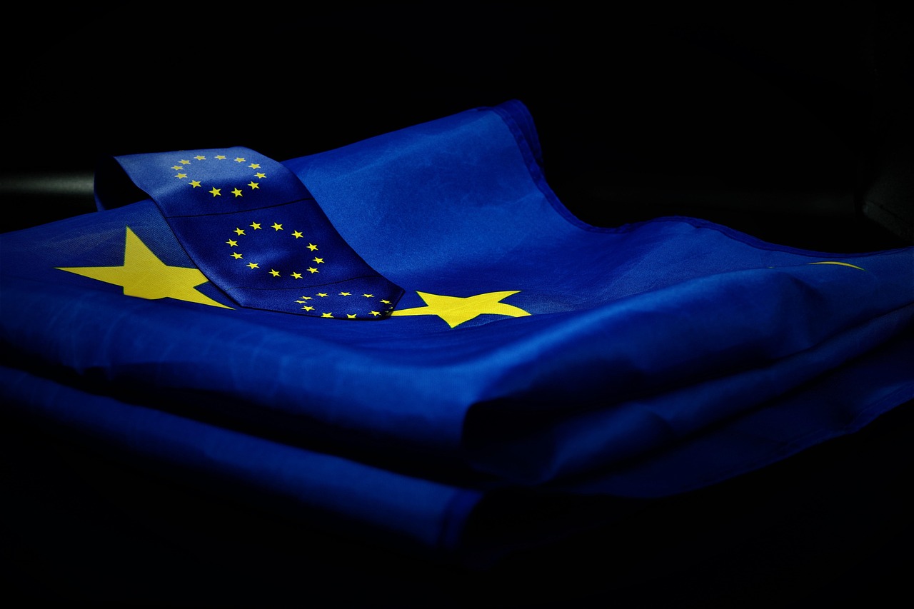 Care este diferența dintre europarlamentari și comisari europeni