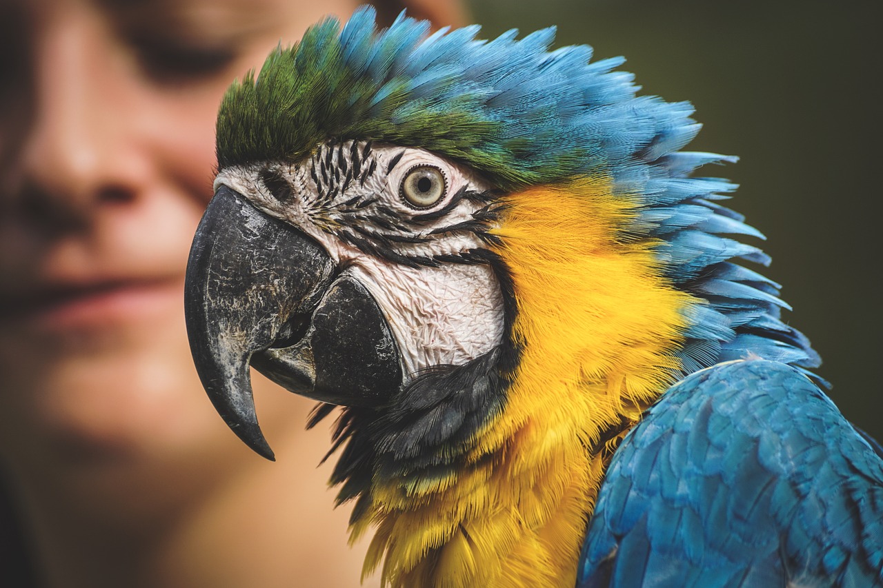 Zoo Brașov și activitățile pentru copii
