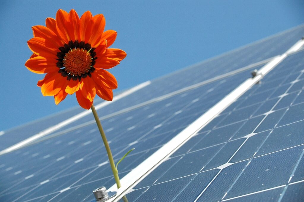 Cele mai bune panouri fotovoltaice monocristaline