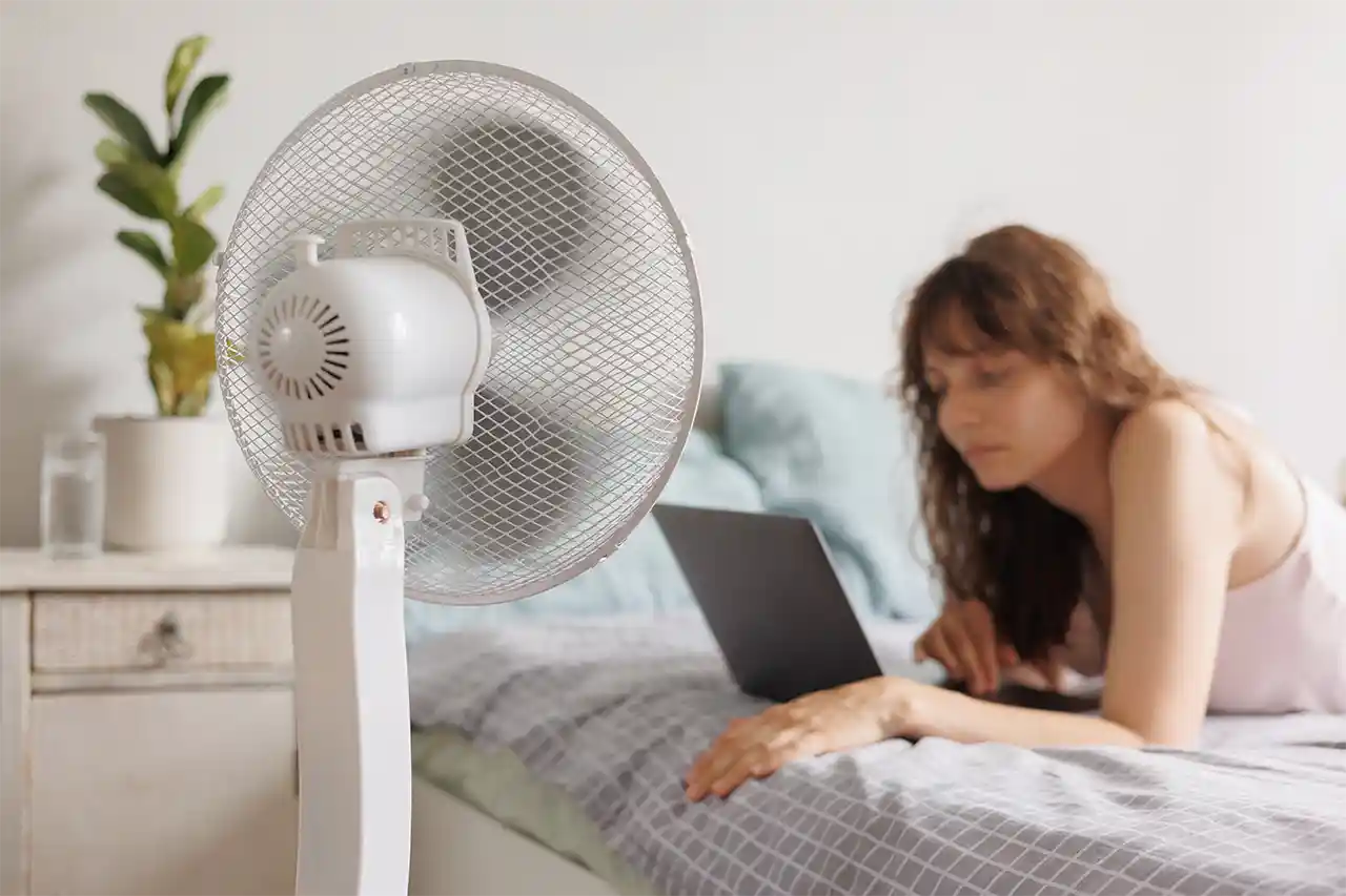 ventilator cu picior modern în living