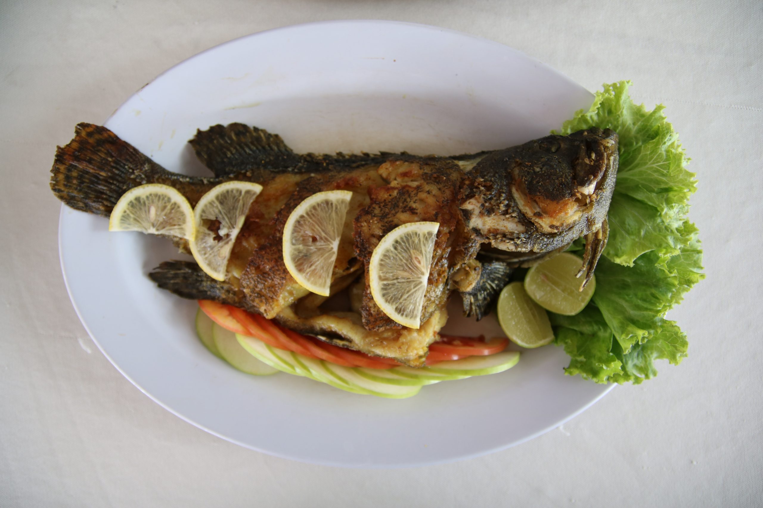 Cum contribuie dieta mediteraneană la sănătatea inimii și a sistemului cardiovascular